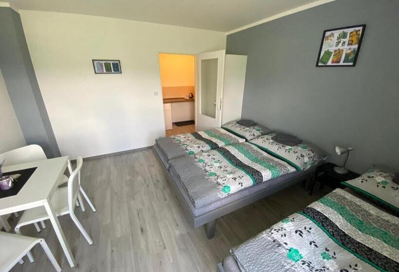 带花园景观的标准三人间, Penzion Kamejk