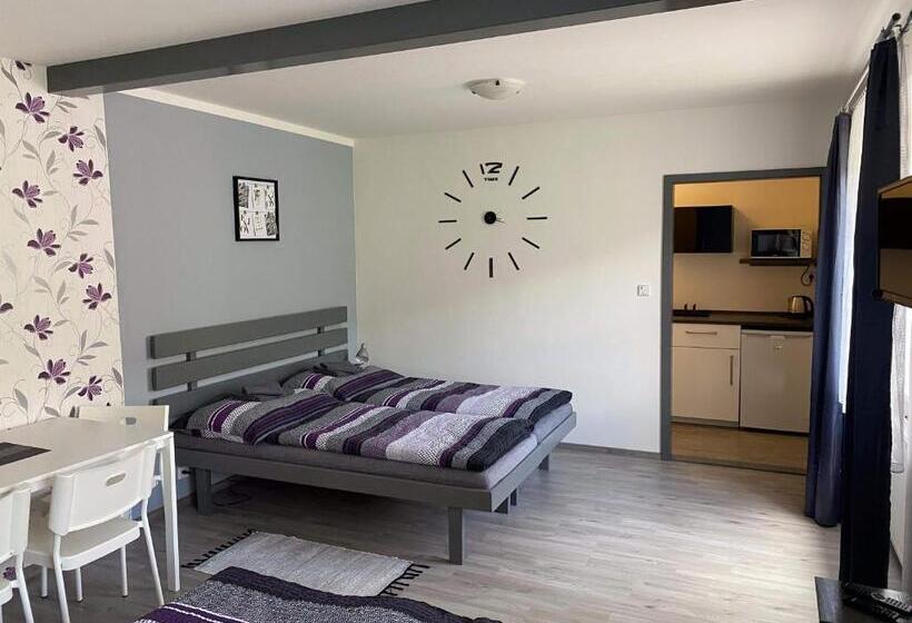 四人标准间, Penzion Kamejk