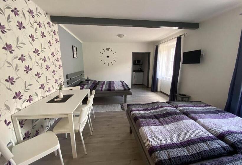 四人标准间, Penzion Kamejk