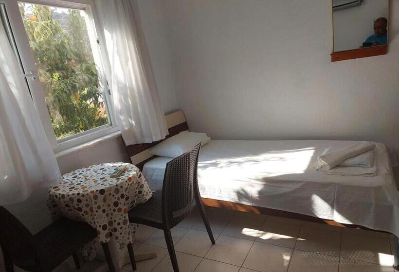 اتاق استاندارد یک نفره, Rose Pension