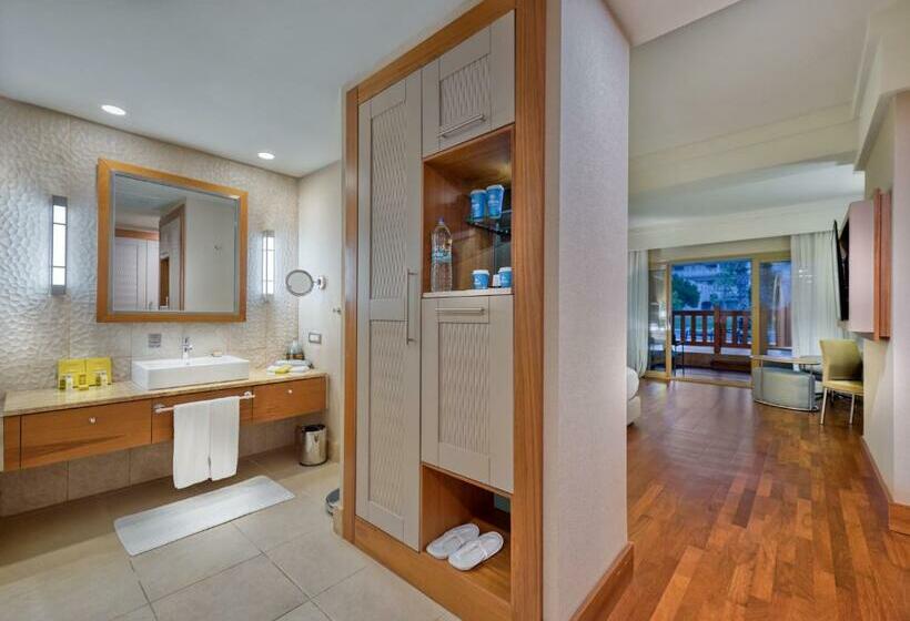 Номер Deluxe Вид на Бассейн, Hilton Dalaman Sarigerme Resort & Spa