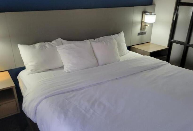 Люкс Кровать Кинг, Comfort Suites