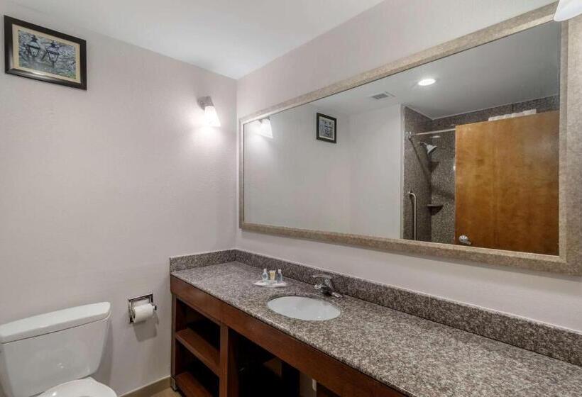 行政套房, Comfort Suites