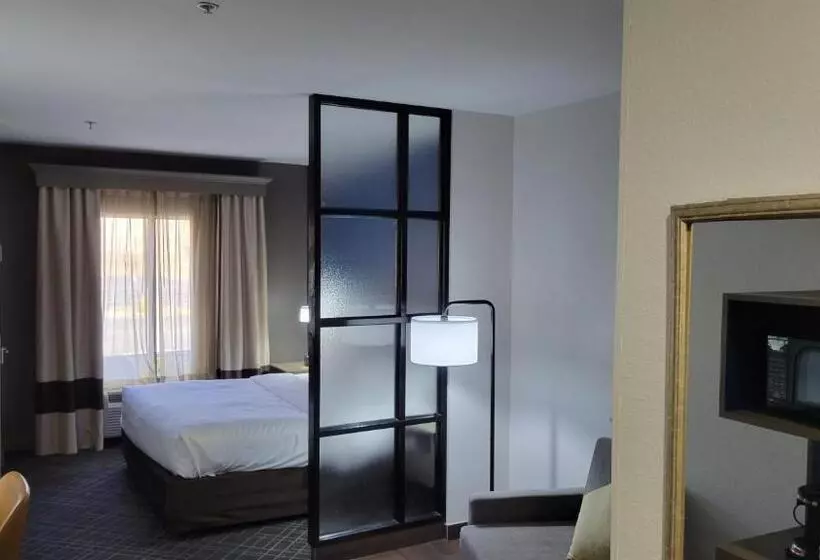 身障者適用スイートルーム, Comfort Suites