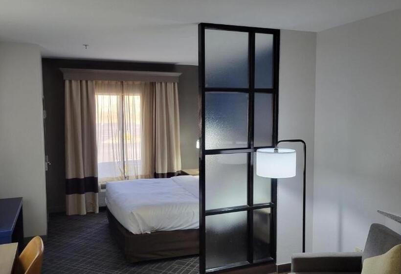 Люкс Адаптированный для Инвалидов, Comfort Suites