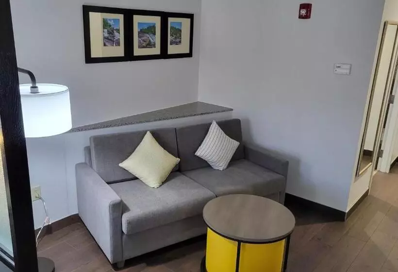 身障者適用スイートルーム, Comfort Suites