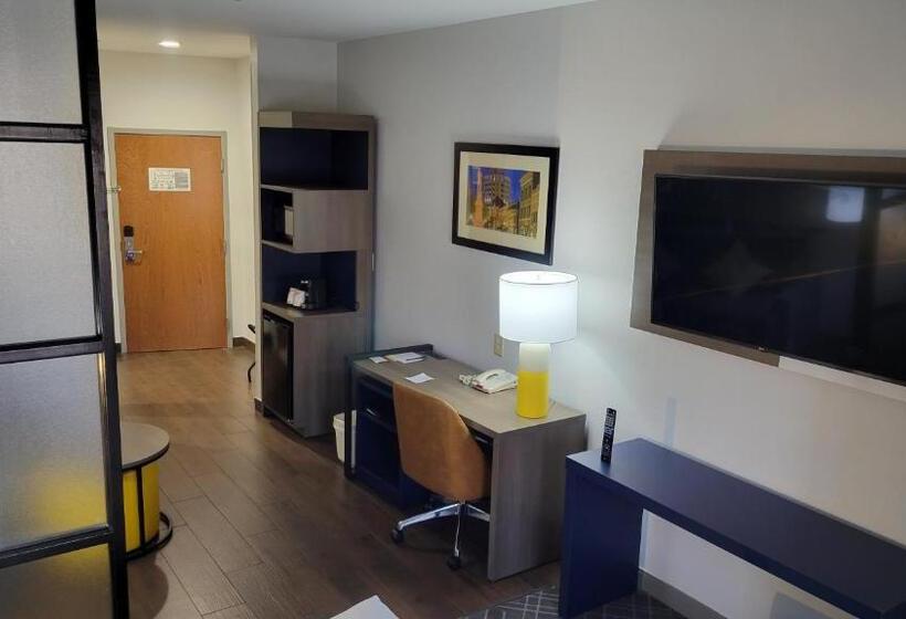 Люкс Адаптированный для Инвалидов, Comfort Suites
