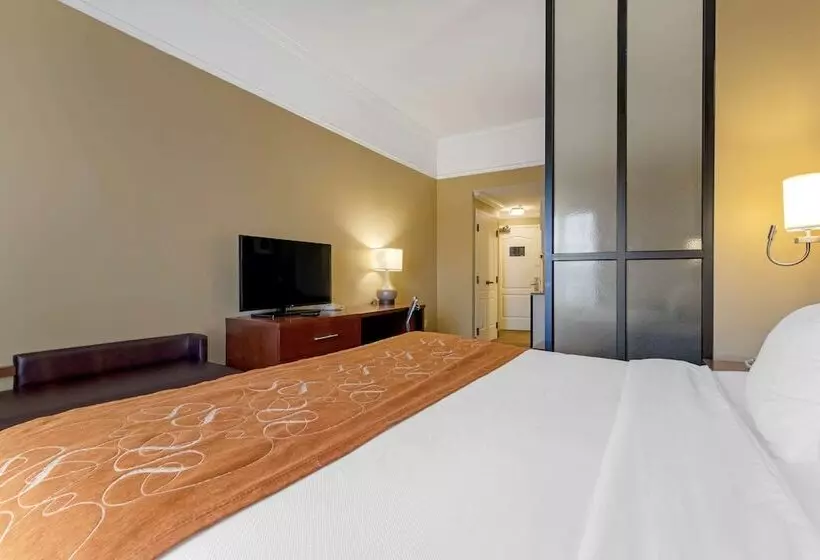 スイート, Comfort Suites Savannah North