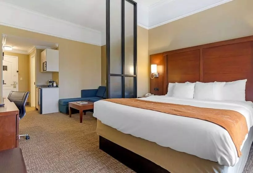 スイート, Comfort Suites Savannah North