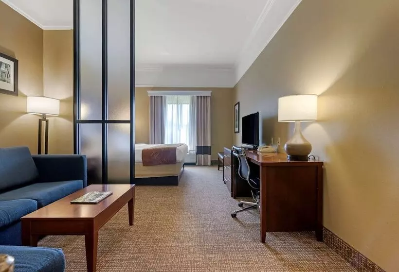 スイート, Comfort Suites Savannah North