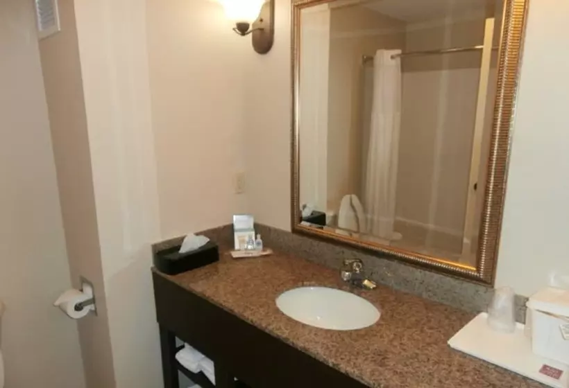 キングサイズベッドのスイートルーム, Comfort Suites Savannah North