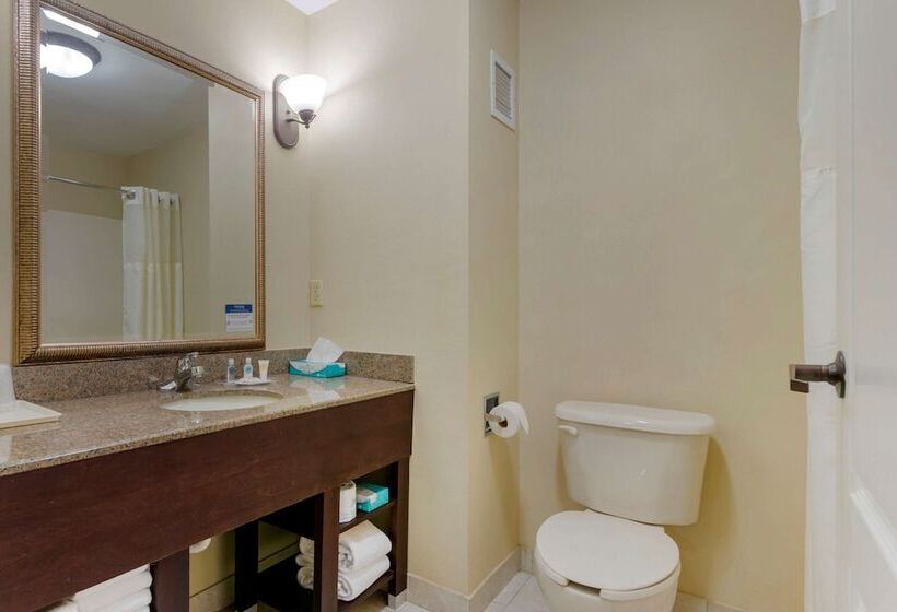 جناح سرير كينج, Comfort Suites Savannah North