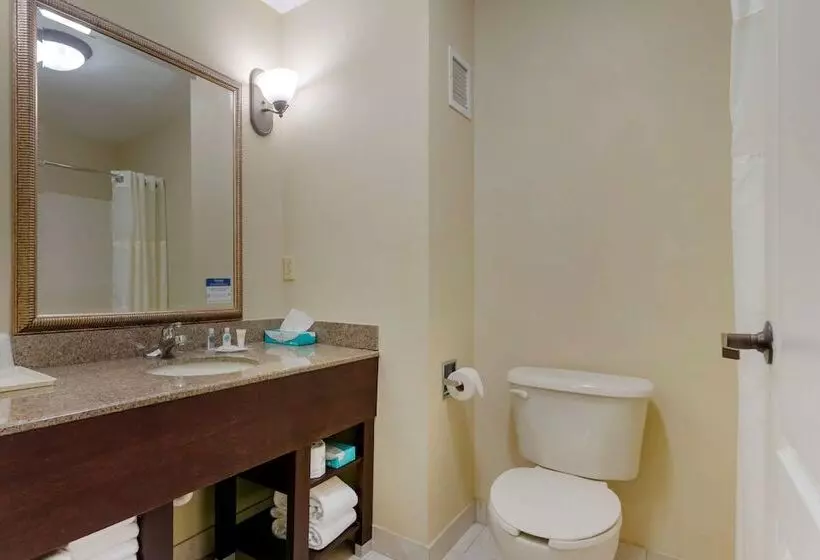 キングサイズベッドのスイートルーム, Comfort Suites Savannah North