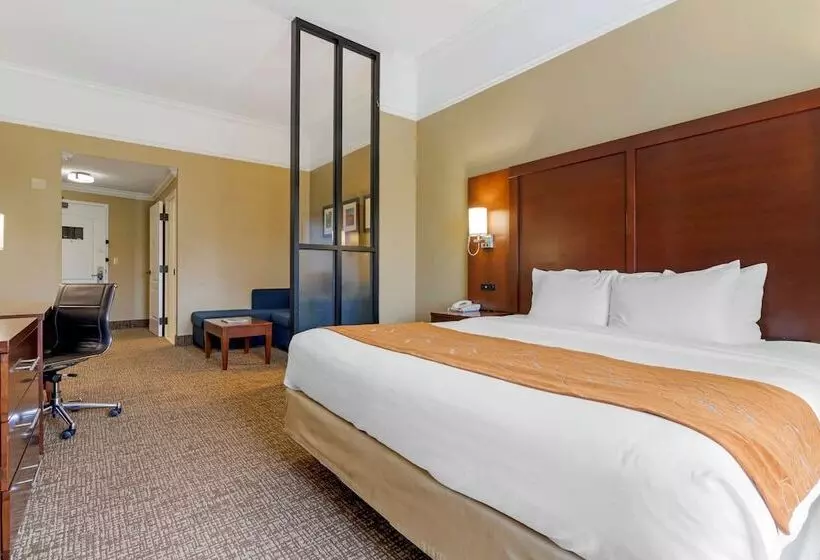 キングサイズベッドのスイートルーム, Comfort Suites Savannah North