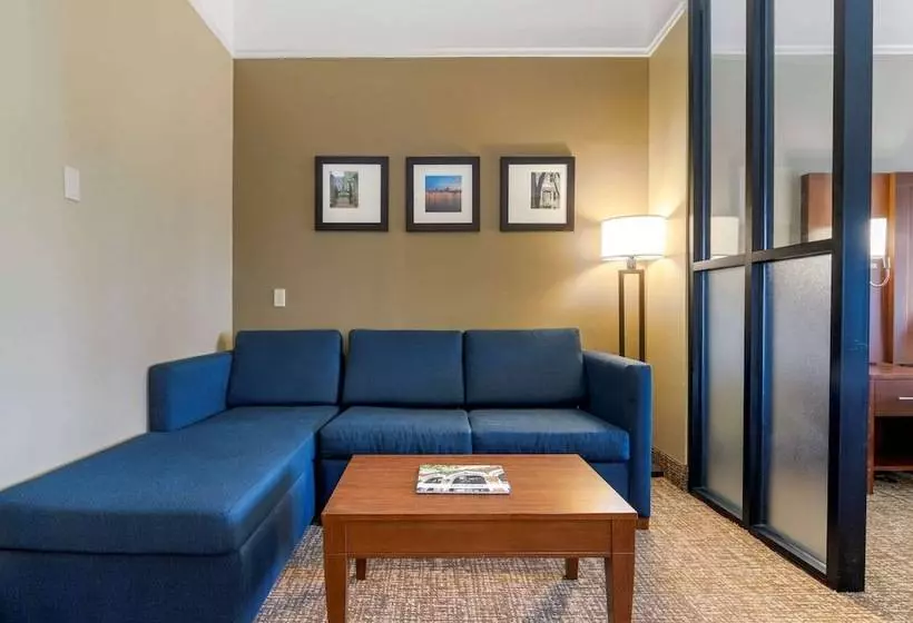 キングサイズベッドのスイートルーム, Comfort Suites Savannah North