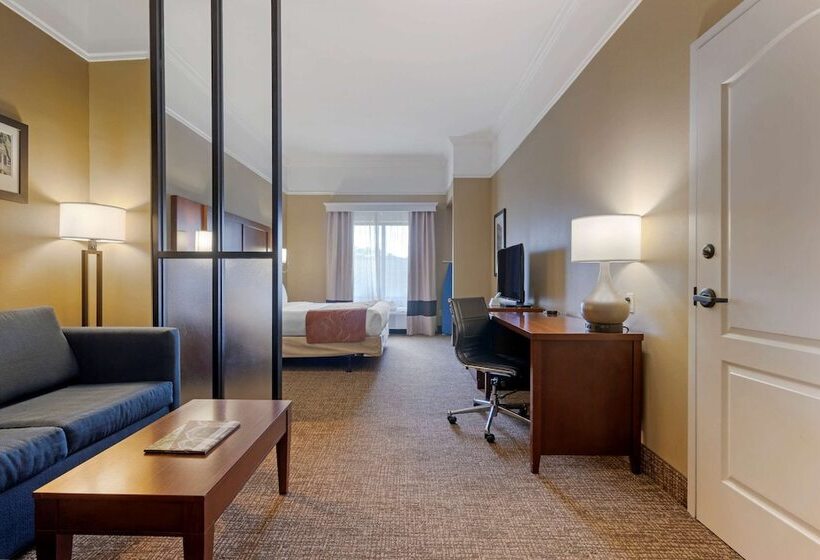 جناح سرير كينج, Comfort Suites Savannah North