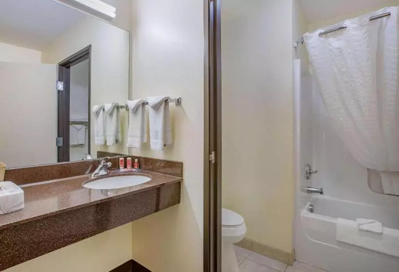 اتاق استاندارد با 2 تخت دوبل, Econo Lodge Inn & Suites Fairgrounds