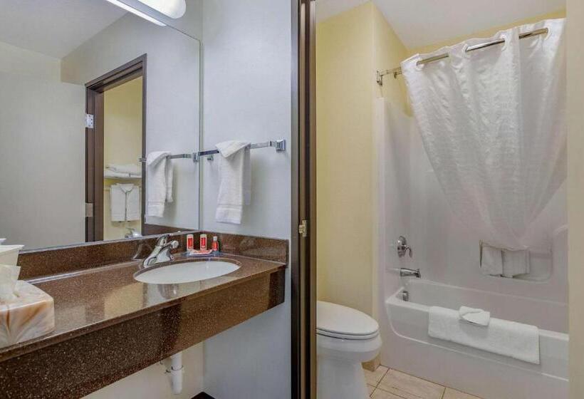 스탠다드 룸 킹사이즈 침대, Econo Lodge Inn & Suites Fairgrounds