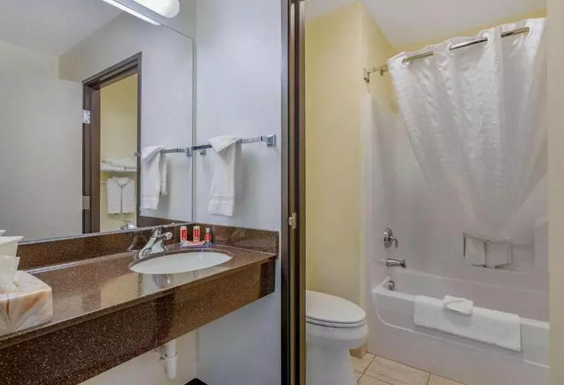 اتاق استاندارد با تخت بزرگ, Econo Lodge Inn & Suites Fairgrounds