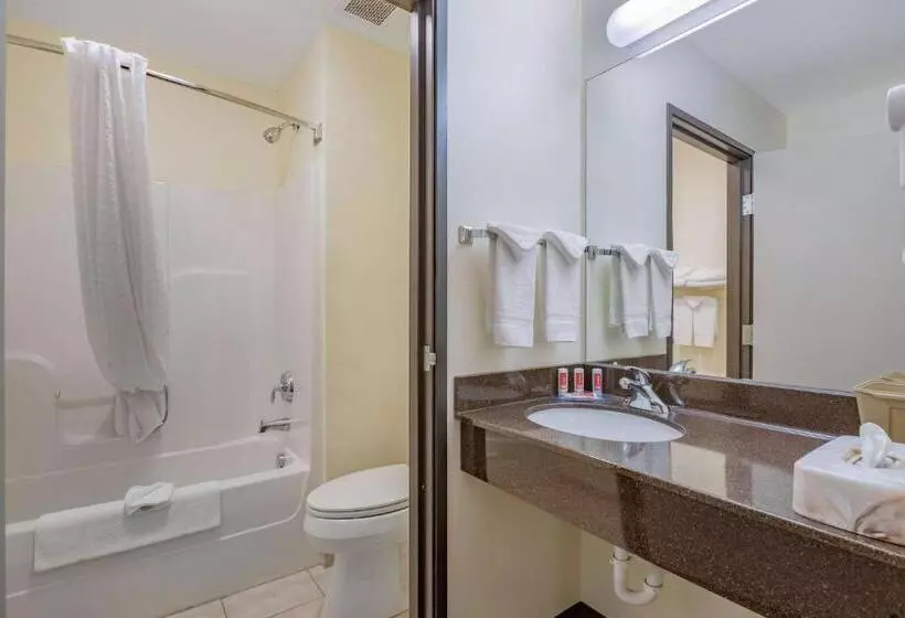 سوئیت با تخت بزرگ, Econo Lodge Inn & Suites Fairgrounds