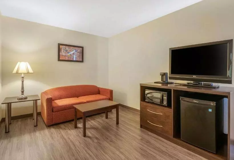 سوئیت با تخت بزرگ, Econo Lodge Inn & Suites Fairgrounds
