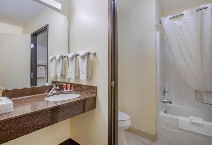 장애인을 위한 킹사이즈 침대 스탠다드 룸, Econo Lodge Inn & Suites Fairgrounds