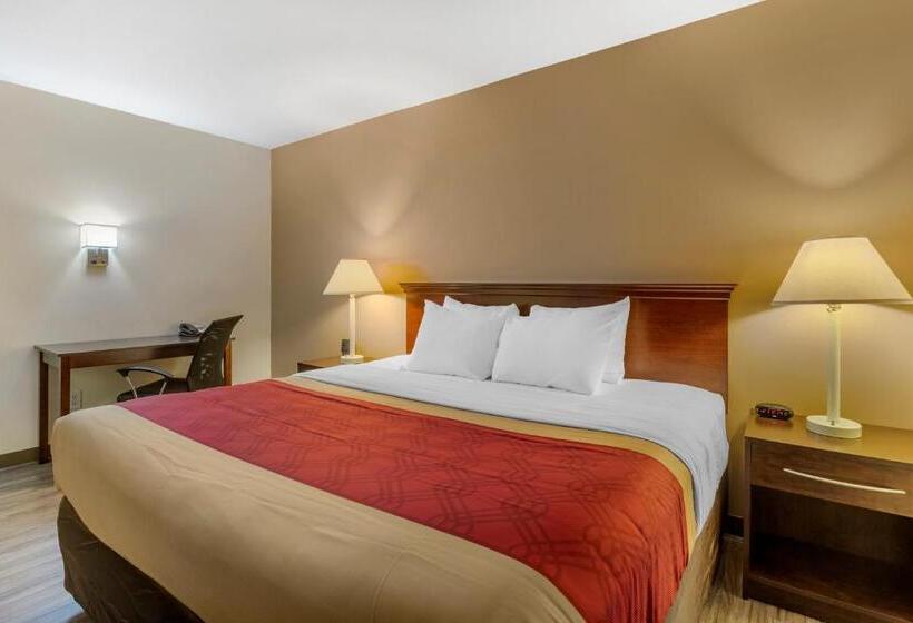 장애인을 위한 킹사이즈 침대 스탠다드 룸, Econo Lodge Inn & Suites Fairgrounds