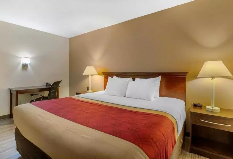 اتاق استاندارد با تخت بزرگ برای معلولان, Econo Lodge Inn & Suites Fairgrounds