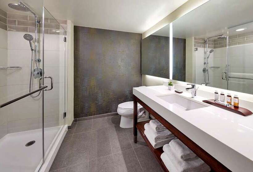 스탠다드 룸 킹사이즈 침대, Hilton Santa Fe Buffalo Thunder