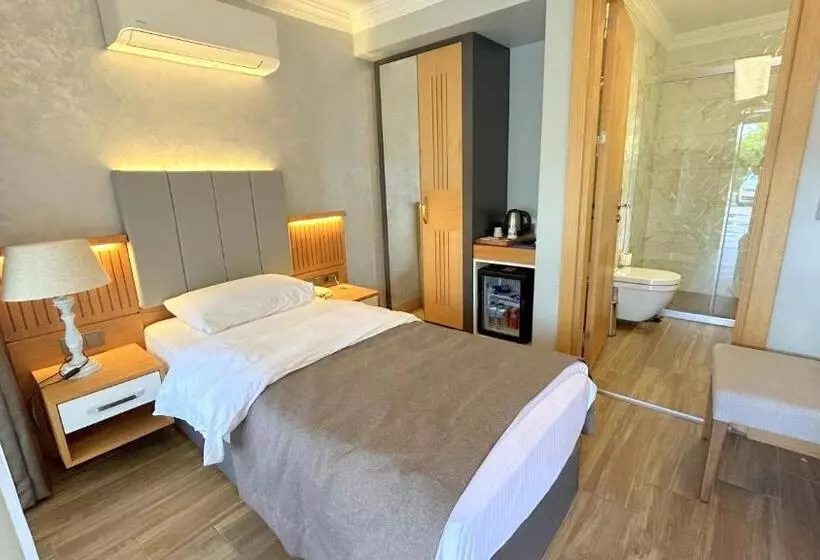 Superior Single Room