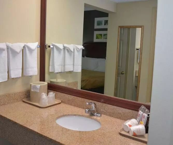 スイート, Quality Inn And Suites Dublin