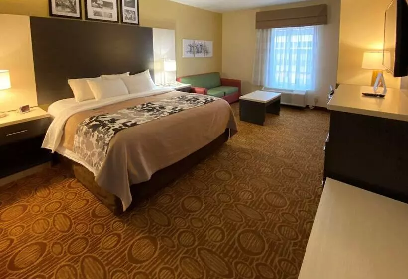 Sviitti, Sleep Inn & Suites Springdale West