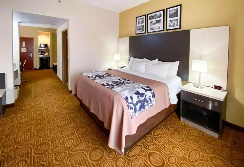 Sviitti, Sleep Inn & Suites Springdale West