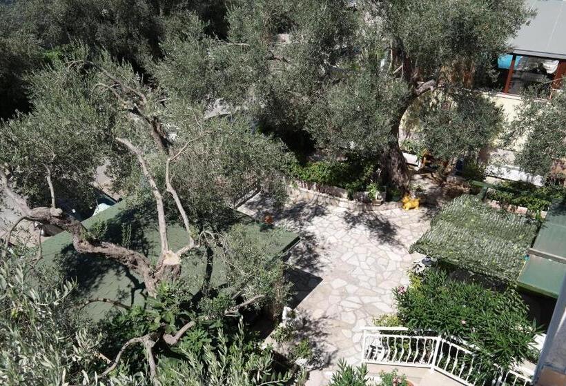 استودیوی استاندارد, Kuca Radovic