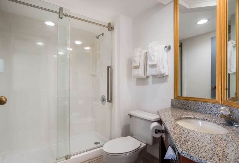 Люкс, Clarion Inn & Suites Airport