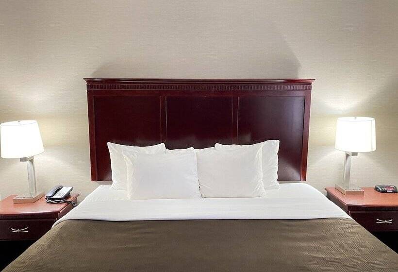 套房, Clarion Inn & Suites Airport