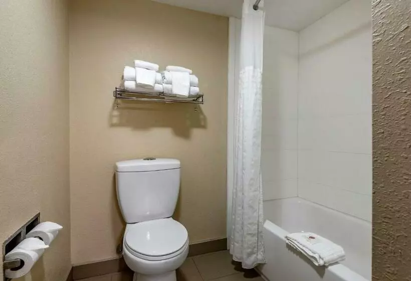 スタンダードルーム, Comfort Inn Matthews / Charlotte
