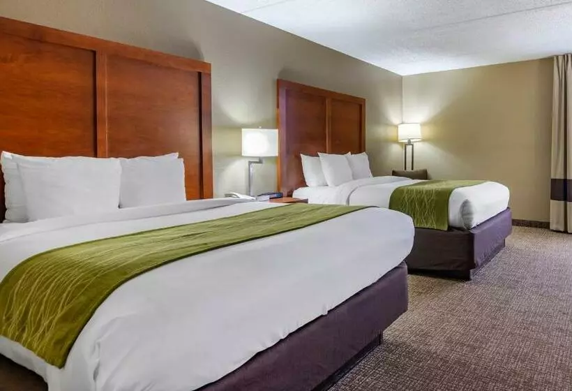 スタンダードルーム, Comfort Inn Matthews / Charlotte