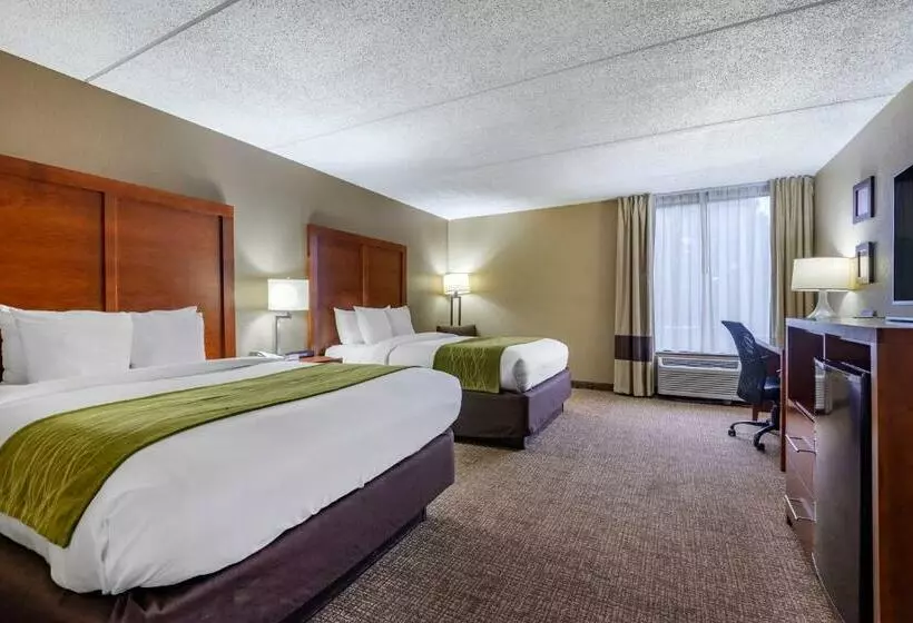 スタンダードルーム, Comfort Inn Matthews / Charlotte