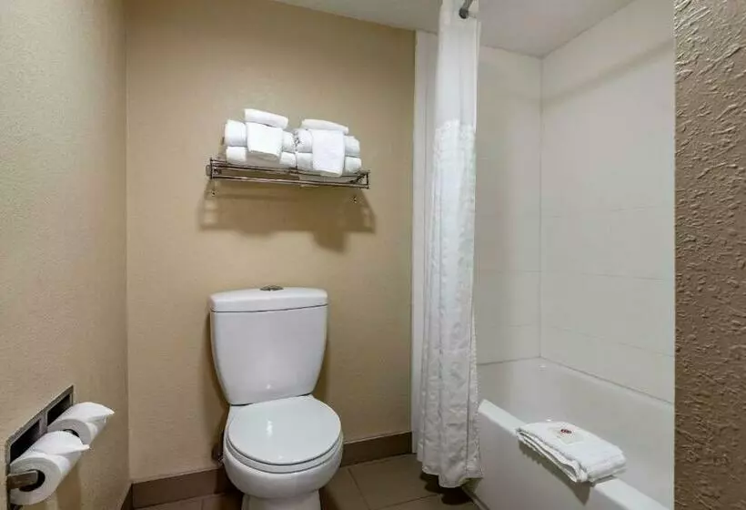 スタンダードルーム, Comfort Inn Matthews / Charlotte