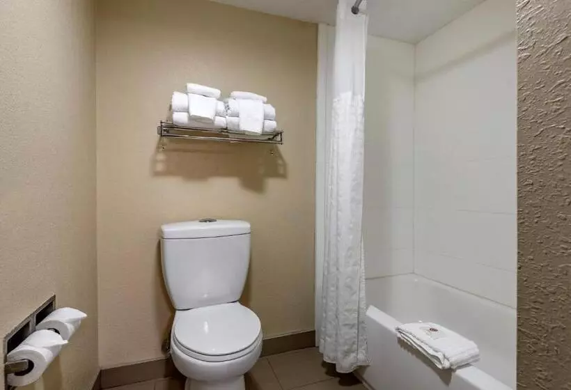 キングサイズベッドのスタンダードルーム, Comfort Inn Matthews / Charlotte