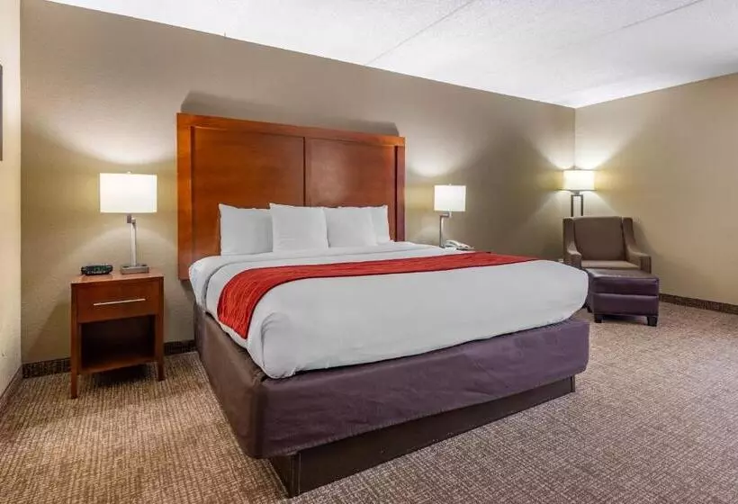 キングサイズベッドのスタンダードルーム, Comfort Inn Matthews / Charlotte