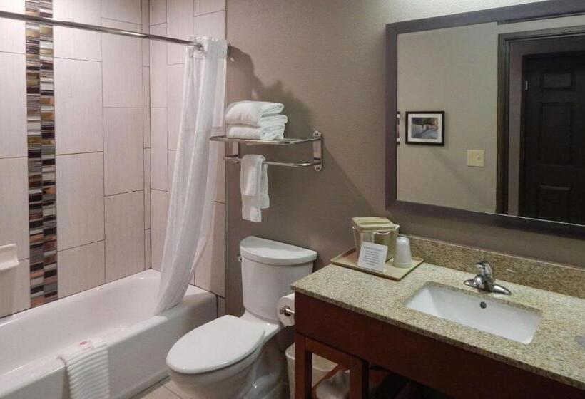 스위트 킹사이즈 침대, Comfort Inn & Suites Las Cruces Mesilla