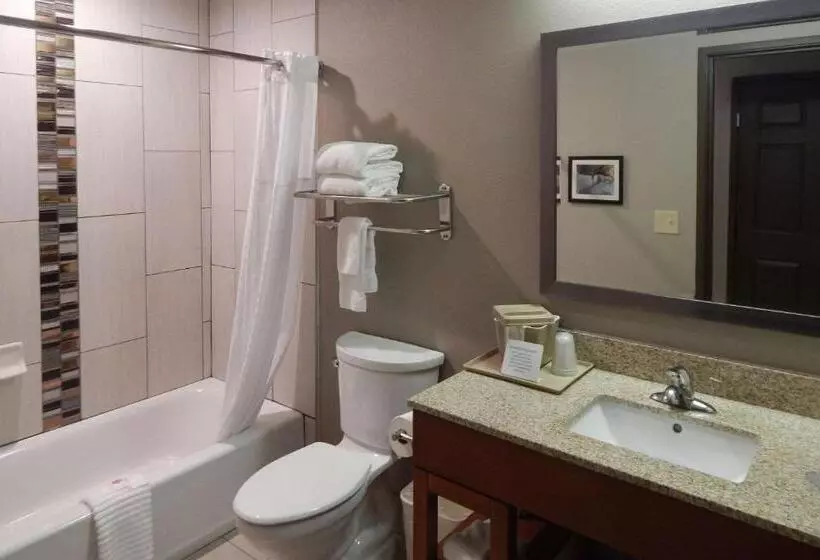 سوئیت با تخت بزرگ, Comfort Inn & Suites Las Cruces Mesilla