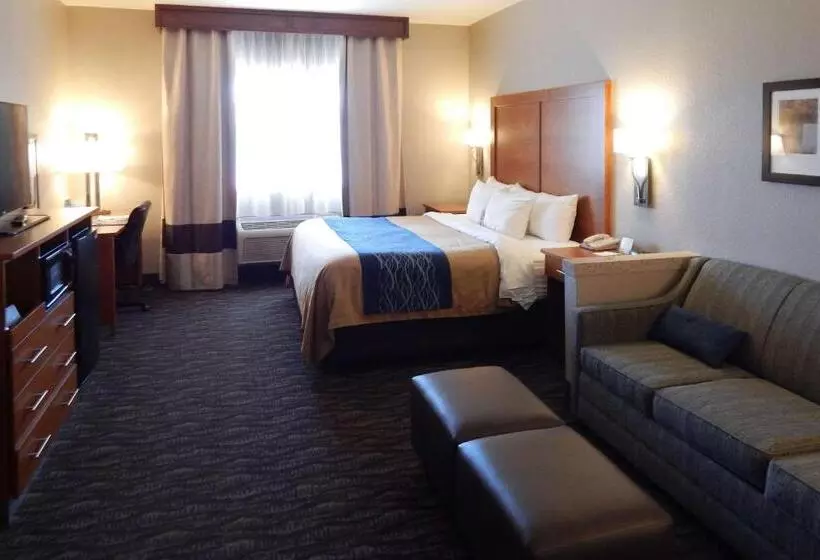 سوئیت با تخت بزرگ, Comfort Inn & Suites Las Cruces Mesilla