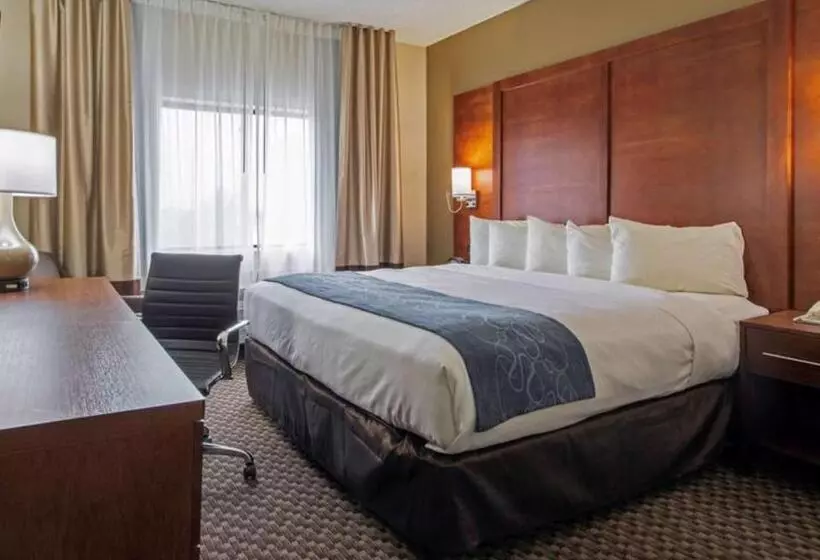 اتاق استاندارد, Comfort Inn & Suites Las Cruces Mesilla
