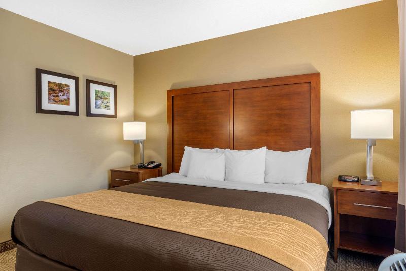 غرفة قياسية سرير كينج, Comfort Inn & Suites Peachtree Corners