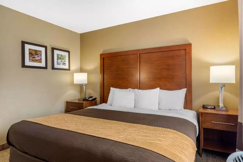 キングサイズベッドのスタンダードルーム, Comfort Inn & Suites Peachtree Corners
