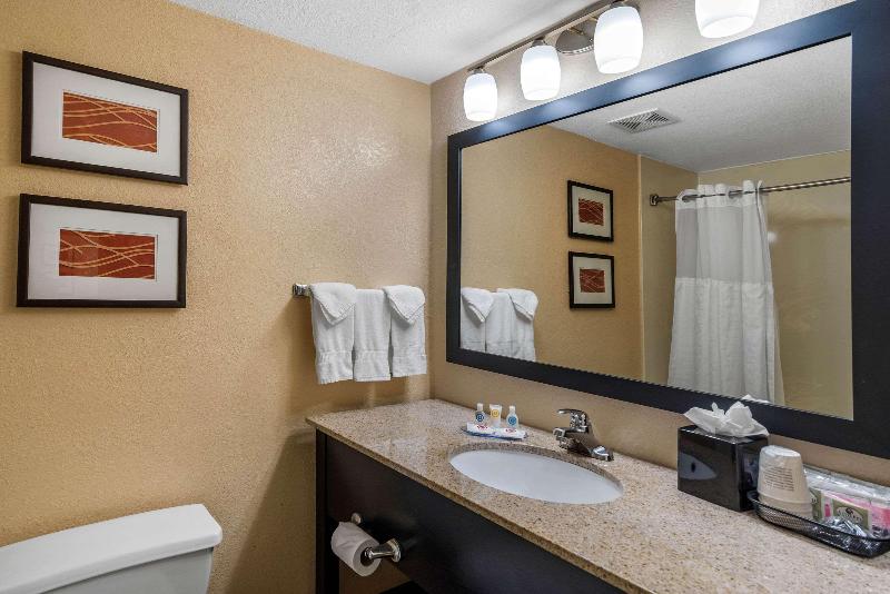 غرفة قياسية سرير كينج, Comfort Inn & Suites Peachtree Corners