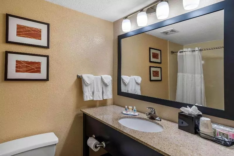 キングサイズベッドのスタンダードルーム, Comfort Inn & Suites Peachtree Corners